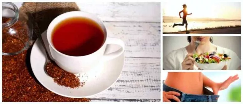 El Poder del Té Rojo: Beneficios para la Salud y más